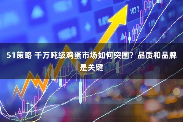 51策略 千万吨级鸡蛋市场如何突围？品质和品牌是关键