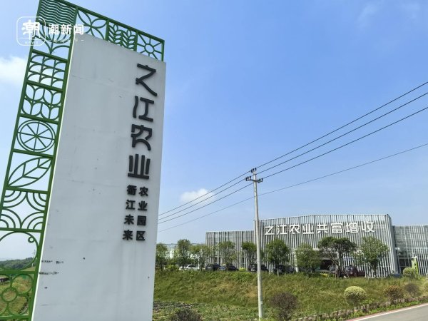 汇通资管 “衢江山农”赋能共富新实践 之江农业园区以“寿光模式”撬动乡村振兴
