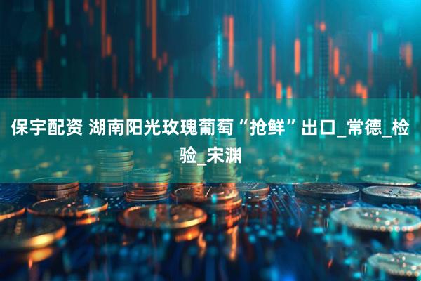 保宇配资 湖南阳光玫瑰葡萄“抢鲜”出口_常德_检验_宋渊