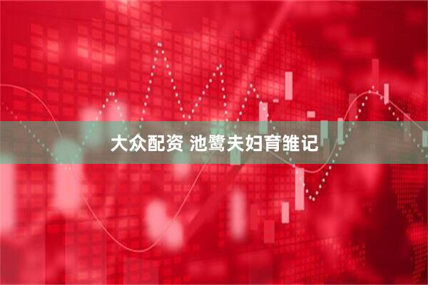大众配资 池鹭夫妇育雏记