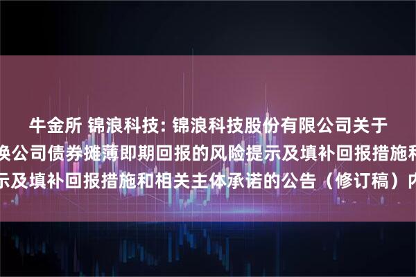 牛金所 锦浪科技: 锦浪科技股份有限公司关于向不特定对象发行可转换公司债券摊薄即期回报的风险提示及填补回报措施和相关主体承诺的公告（修订稿）内容摘要