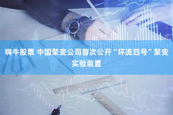 嗨牛股票 中国聚变公司首次公开“环流四号”聚变实验装置