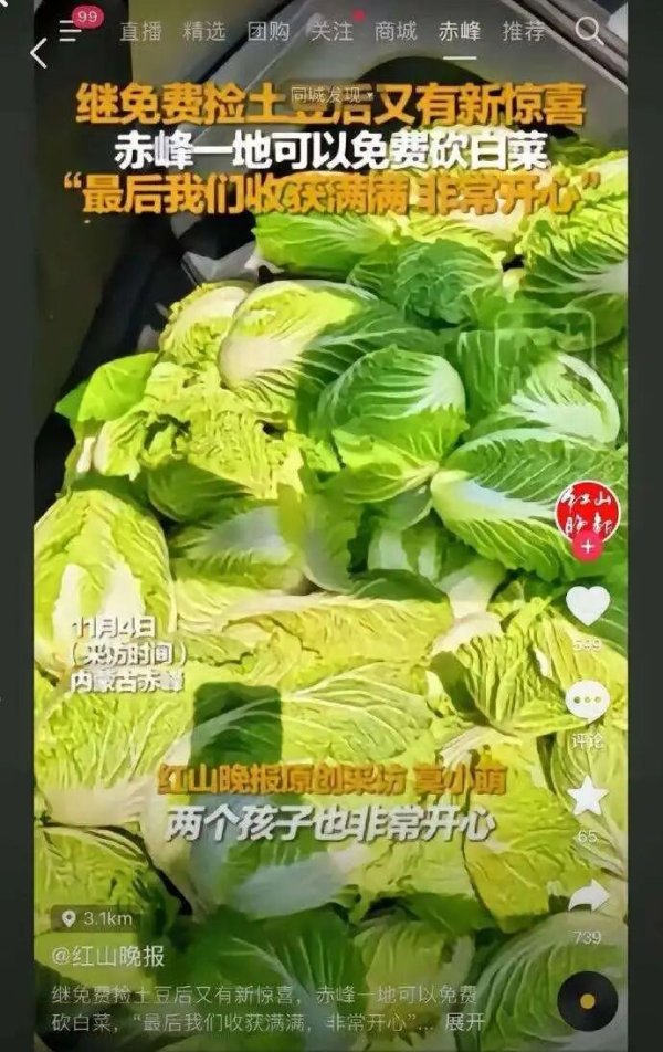 恒瑞盈 一则谣言引来数百人哄抢200亩白菜! 责任谁来担?